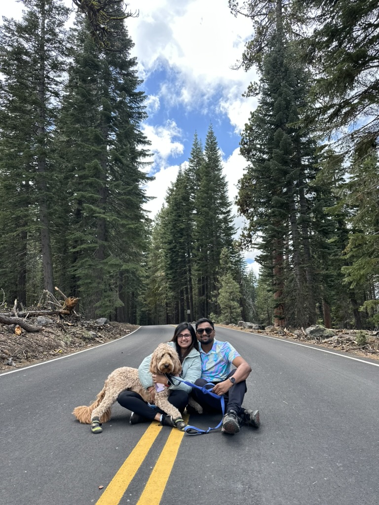 Electrons in a Box - Music Project